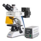 Transmitted light microscopes